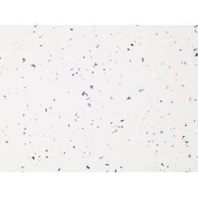 Nuance Wall Panelling - 2420 x 1200 x 11mm Tongue & Groove Wall Panel